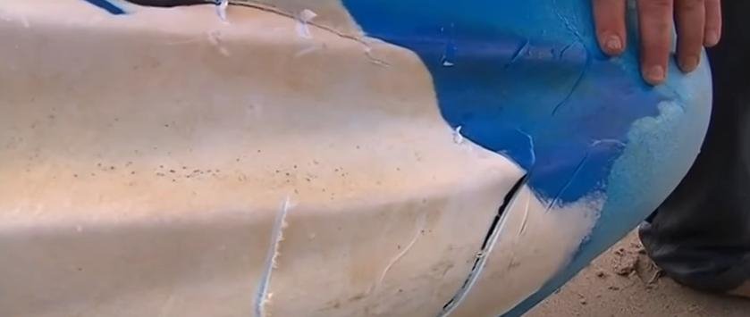 Αυστραλία: Πατέρας έσωσε την 15χρονη κόρη του από τα σαγόνια μεγάλου λευκού καρχαρία [βίντεο]  | iefimerida.gr 2