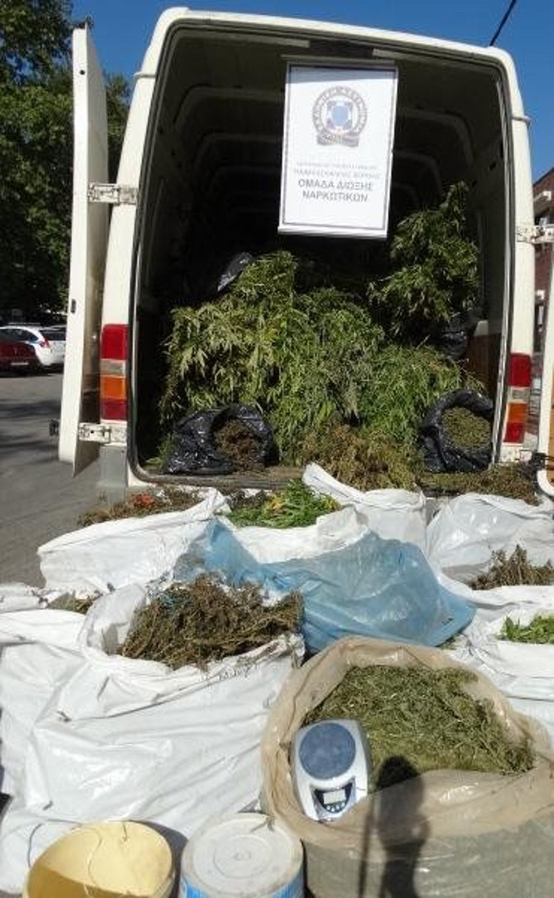 Θεσσαλονίκη: Συνελήφθη 65χρονος με 790 δενδρύλλια κάνναβης [εικόνες] | iefimerida.gr 2