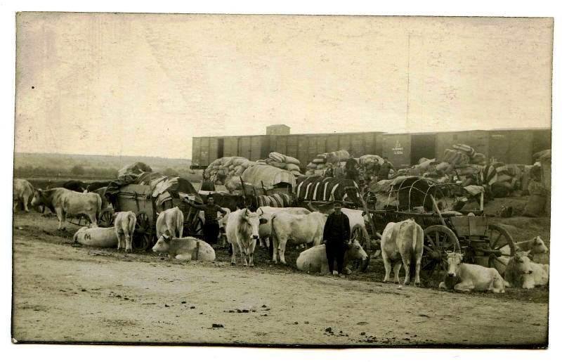 Ορεστιάδα, η πόλη που δημιουργήθηκε αποκλειστικά από πρόσφυγες το 1923 [εικόνες] | iefimerida.gr 3