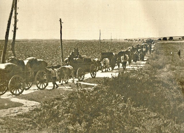 Ορεστιάδα, η πόλη που δημιουργήθηκε αποκλειστικά από πρόσφυγες το 1923 [εικόνες] | iefimerida.gr 4