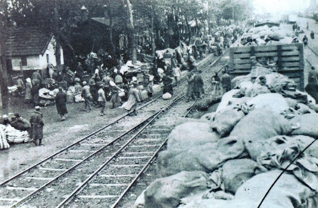 Ορεστιάδα, η πόλη που δημιουργήθηκε αποκλειστικά από πρόσφυγες το 1923 [εικόνες] | iefimerida.gr 20