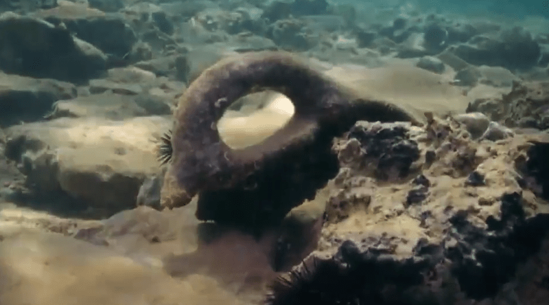 Παυλοπέτρι: Η αρχαιότερη βυθισμένη πόλη του κόσμου βρίσκεται κοντά στην Ελαφόνησο [εικόνες] | iefimerida.gr 4