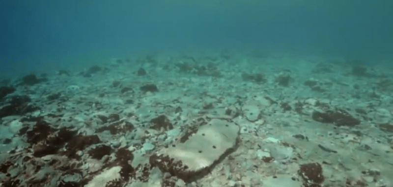 Παυλοπέτρι: Η αρχαιότερη βυθισμένη πόλη του κόσμου βρίσκεται κοντά στην Ελαφόνησο [εικόνες] | iefimerida.gr 5