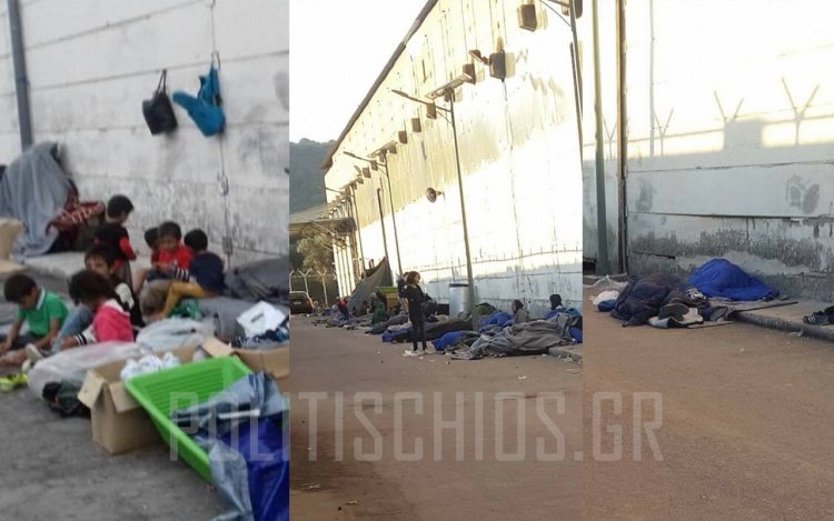 Εικόνες ντροπής στη Χίο: Μετανάστες σκαρφάλωσαν στα δέντρα για να προφυλαχθούν από τη βροχή | iefimerida.gr 8