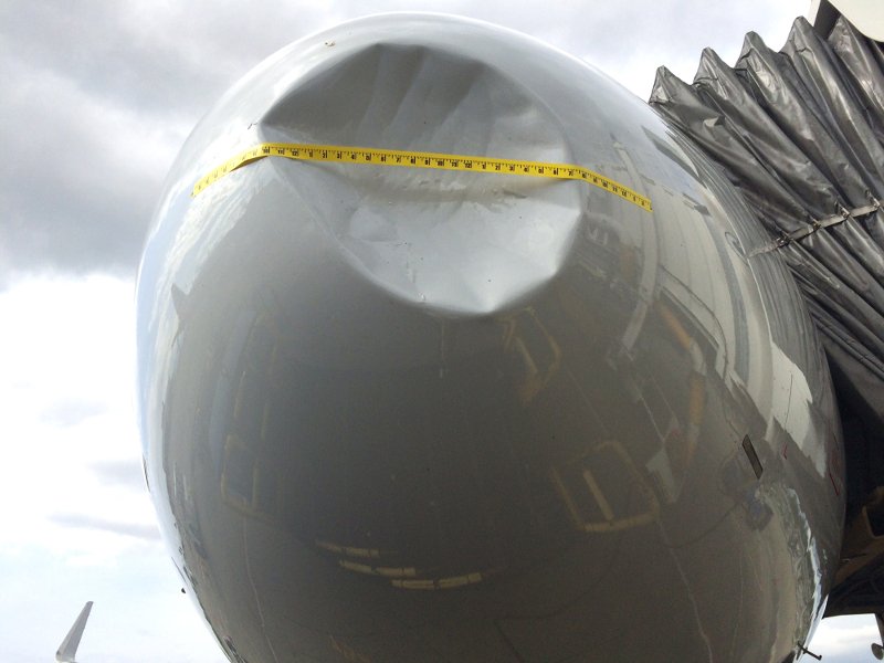 Τι συμβαίνει όταν πουλί πέφτει πάνω σε αεροπλάνο [εικόνες] | iefimerida.gr 0