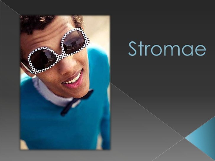 Ο διάσημος τραγουδιστής Stromae της hip hop «δεν είναι καλά» [βίντεο] | iefimerida.gr 6