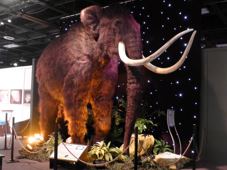 Σμιλόδοντες, γιγαντιαίοι βραδύποδες και γλυπτόδοντες σε φυσικό μέγεθος στον «Ελληνικό Κόσμο» [εικόνες]  | iefimerida.gr 3