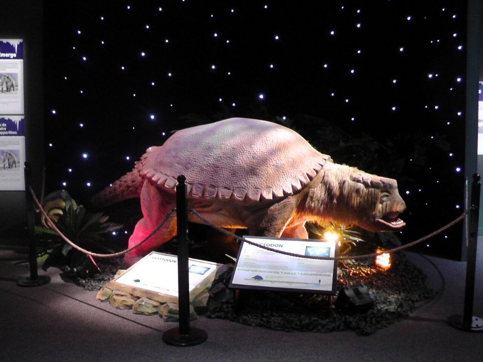 Σμιλόδοντες, γιγαντιαίοι βραδύποδες και γλυπτόδοντες σε φυσικό μέγεθος στον «Ελληνικό Κόσμο» [εικόνες]  | iefimerida.gr 2