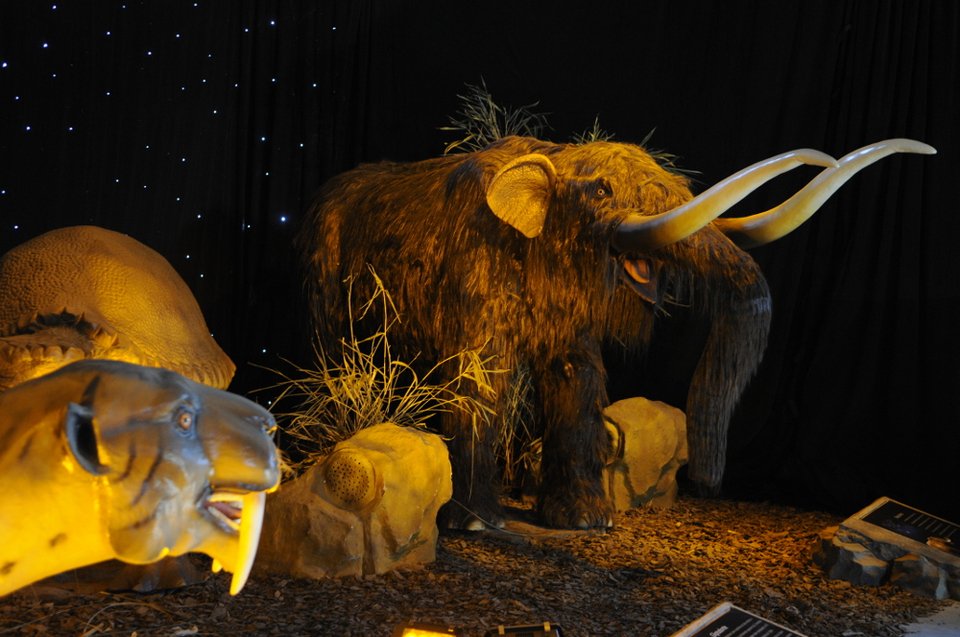 Σμιλόδοντες, γιγαντιαίοι βραδύποδες και γλυπτόδοντες σε φυσικό μέγεθος στον «Ελληνικό Κόσμο» [εικόνες]  | iefimerida.gr 0