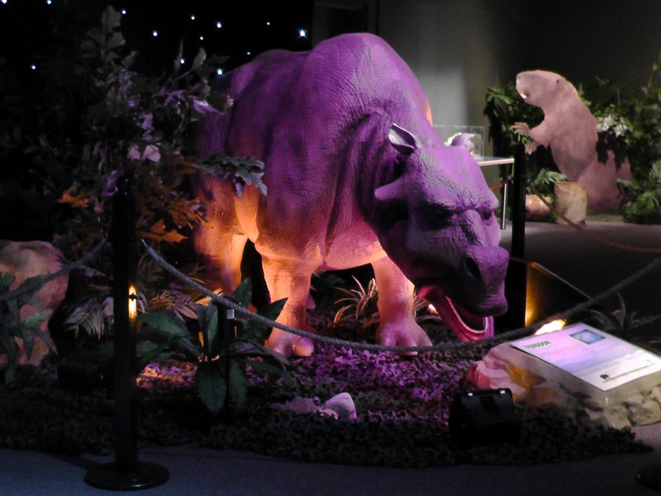 Σμιλόδοντες, γιγαντιαίοι βραδύποδες και γλυπτόδοντες σε φυσικό μέγεθος στον «Ελληνικό Κόσμο» [εικόνες]  | iefimerida.gr 4