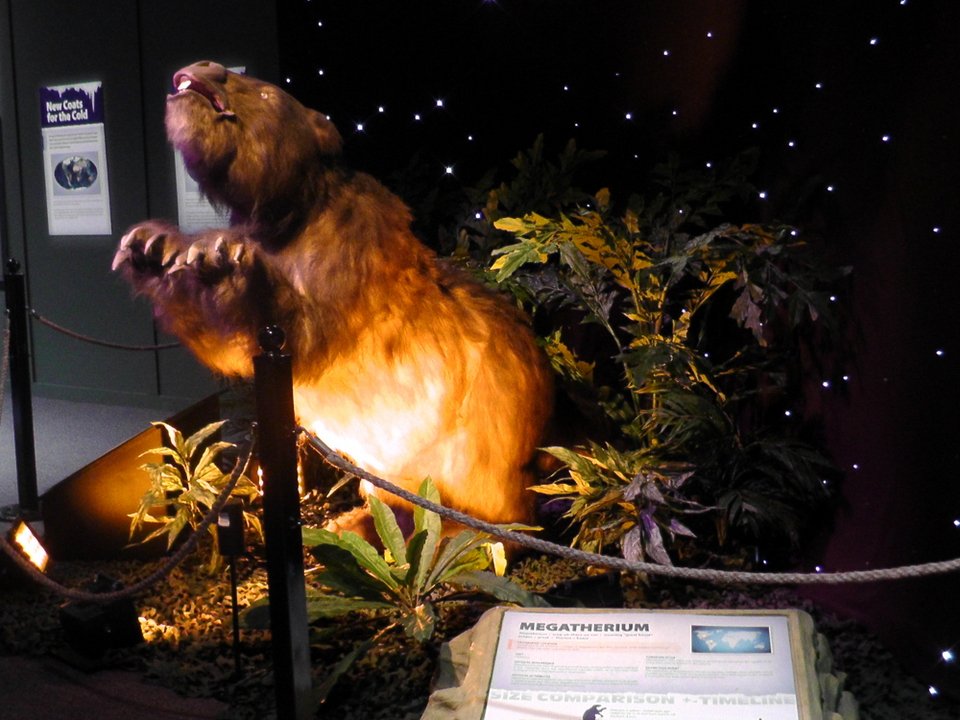 Σμιλόδοντες, γιγαντιαίοι βραδύποδες και γλυπτόδοντες σε φυσικό μέγεθος στον «Ελληνικό Κόσμο» [εικόνες]  | iefimerida.gr 1