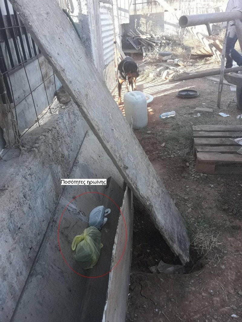 Θεσσαλονίκη: 3 συλλήψεις για ηρωίνη, κάνναβη και παραισθησιογόνα μανιτάρια [εικόνες] | iefimerida.gr 2