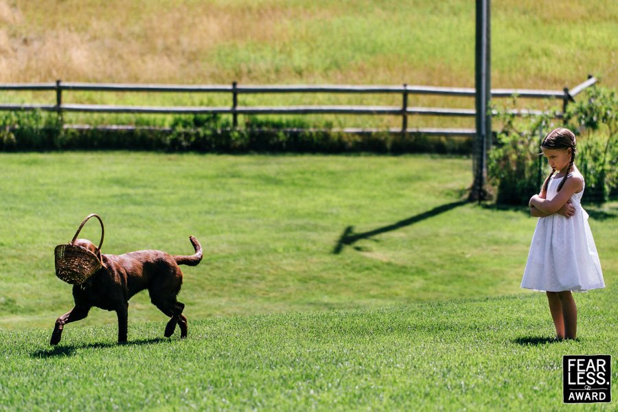 Οι καλύτερες γαμήλιες φωτογραφίες για το 2017 -Ξεφεύγουν από τα συνηθισμένα [εικόνες] | iefimerida.gr 26