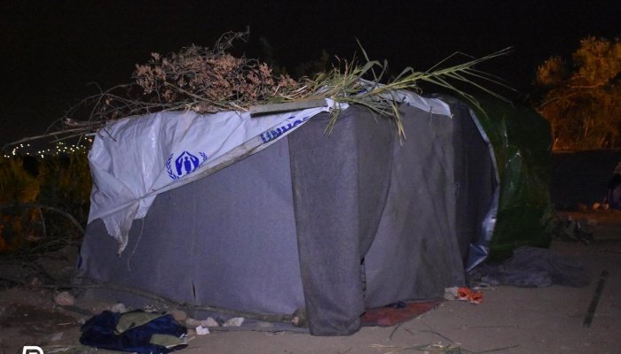 Εικόνες ντροπής στη Χίο: Μετανάστες σκαρφάλωσαν στα δέντρα για να προφυλαχθούν από τη βροχή | iefimerida.gr 6