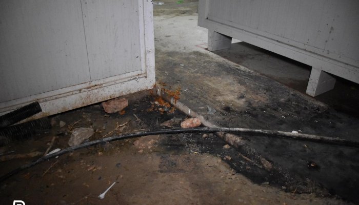 Εικόνες ντροπής στη Χίο: Μετανάστες σκαρφάλωσαν στα δέντρα για να προφυλαχθούν από τη βροχή | iefimerida.gr 0
