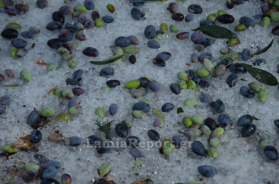 Bιβλική καταστροφή στη Φθιώτιδα από τον «Δαίδαλο» [εικόνες & βίντεο] | iefimerida.gr 1