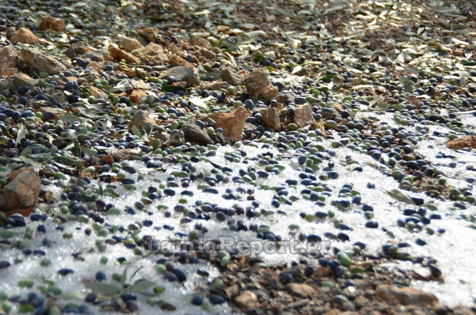 Bιβλική καταστροφή στη Φθιώτιδα από τον «Δαίδαλο» [εικόνες & βίντεο] | iefimerida.gr 2