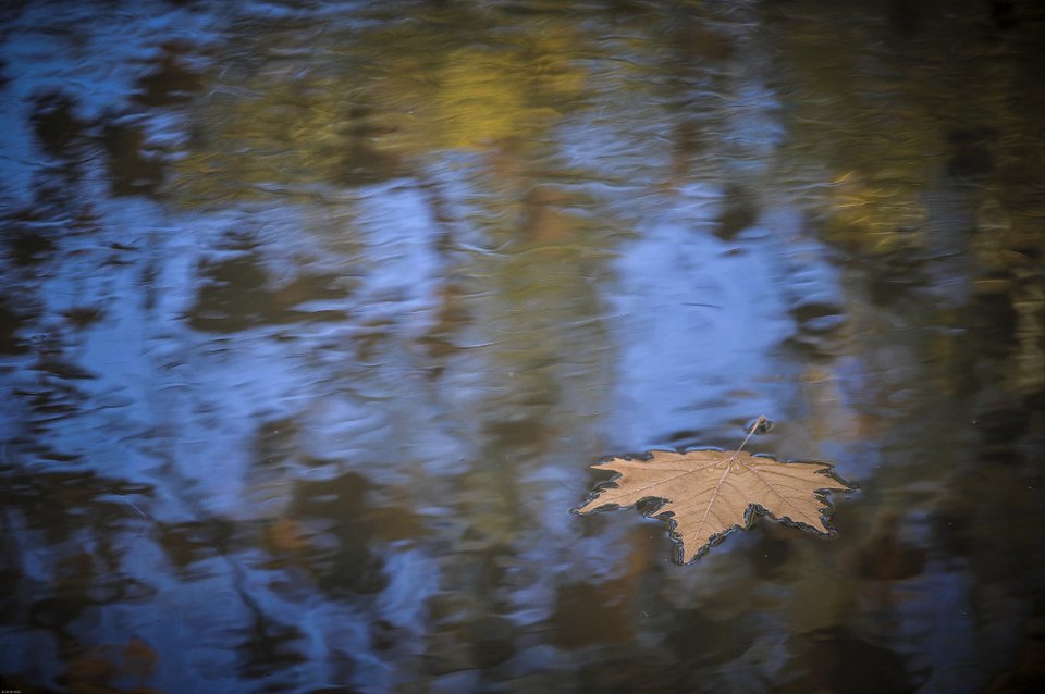 Υπόκλιση! Το μαγικό καθρέφτισμα στα νερά του Ληθαίου ποταμού [εικόνες] | iefimerida.gr 5