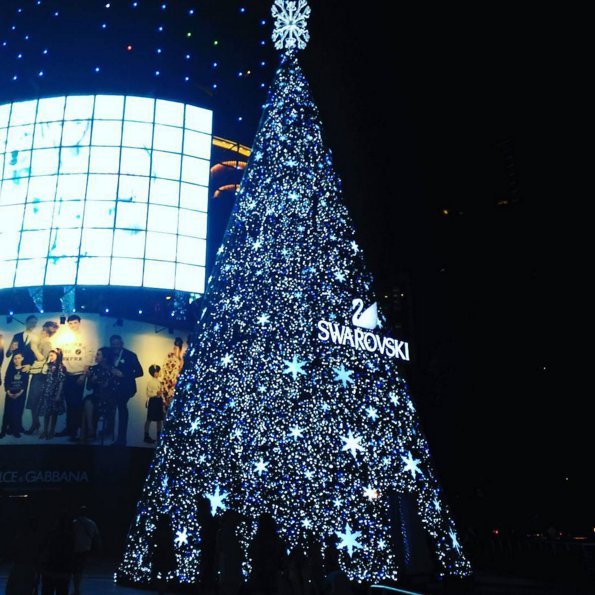 Στο Instagram άρχισαν να στολίζουν ήδη τα χριστουγεννιάτικα δέντρα [εικόνες] | iefimerida.gr 0