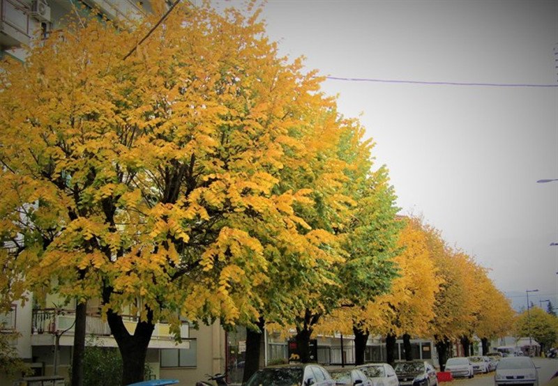 Φθινοπωρινό τοπίο σαν πίνακας στα Γιάννενα [εικόνες] | iefimerida.gr 0