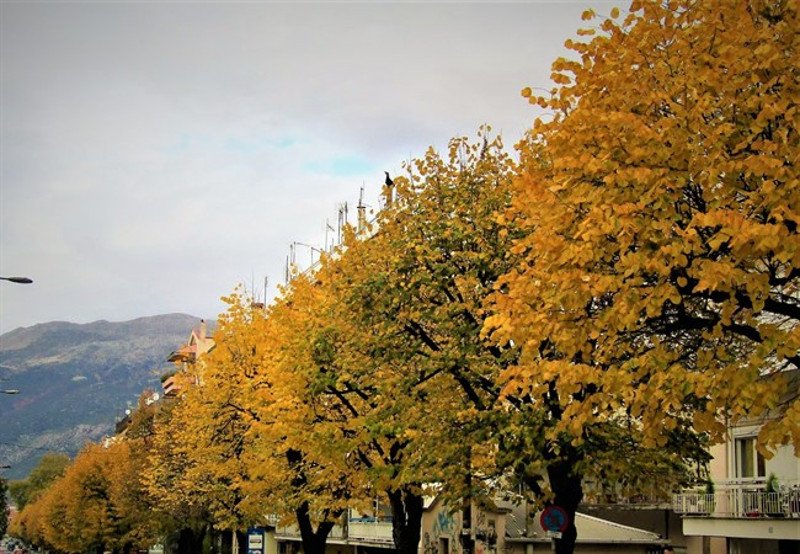Φθινοπωρινό τοπίο σαν πίνακας στα Γιάννενα [εικόνες] | iefimerida.gr 1