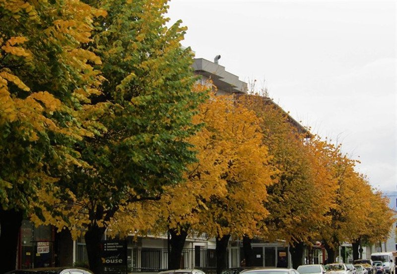 Φθινοπωρινό τοπίο σαν πίνακας στα Γιάννενα [εικόνες] | iefimerida.gr 2