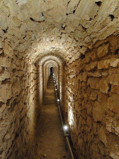 Το θαυμαστό Ευπαλίνειο υδραγωγείο Σάμου ανακηρύχθηκε Διεθνές Τοπόσημο Μηχανικής [εικόνες]  | iefimerida.gr 1