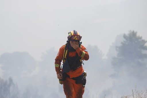 Τα σοκαριστικά στοιχεία για τις πυρκαγιές στην Ελλάδα | iefimerida.gr 3
