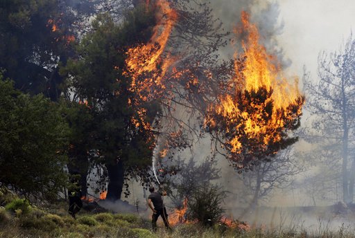 Τα σοκαριστικά στοιχεία για τις πυρκαγιές στην Ελλάδα | iefimerida.gr 1