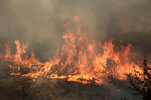 Τα σοκαριστικά στοιχεία για τις πυρκαγιές στην Ελλάδα | iefimerida.gr 2