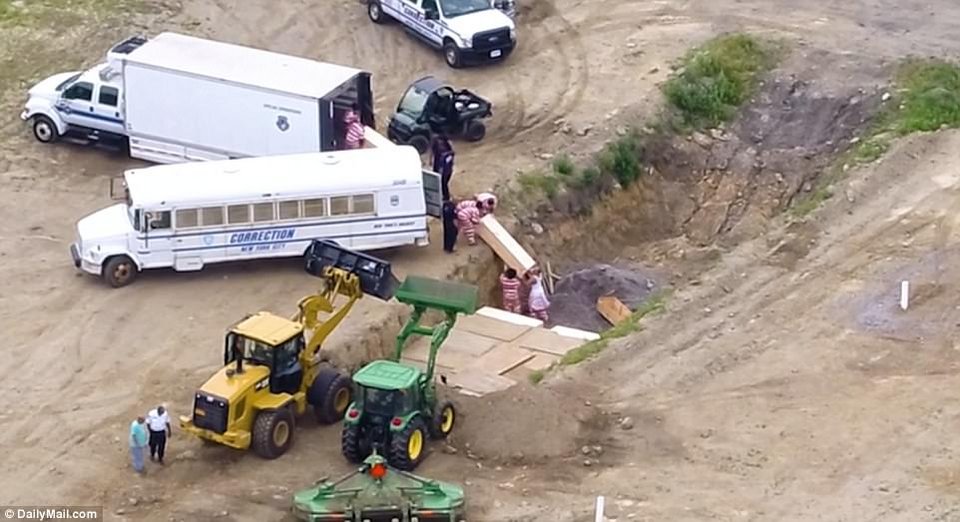 Το άγνωστο «νησί των νεκρών» της Νέας Υόρκης -Πάνω από 1 εκατ. «ανώνυμοι» σε μαζικούς τάφους [εικόνες & βίντεο] | iefimerida.gr 1