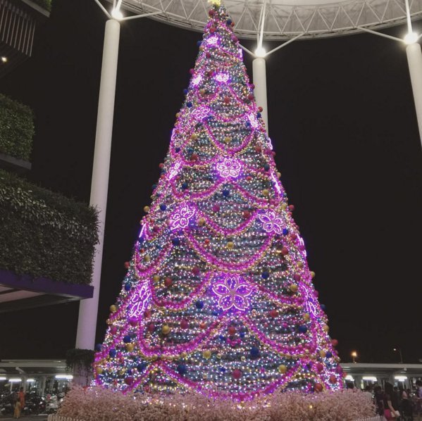 Στο Instagram άρχισαν να στολίζουν ήδη τα χριστουγεννιάτικα δέντρα [εικόνες] | iefimerida.gr 3