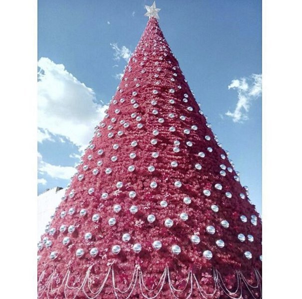 Στο Instagram άρχισαν να στολίζουν ήδη τα χριστουγεννιάτικα δέντρα [εικόνες] | iefimerida.gr 4