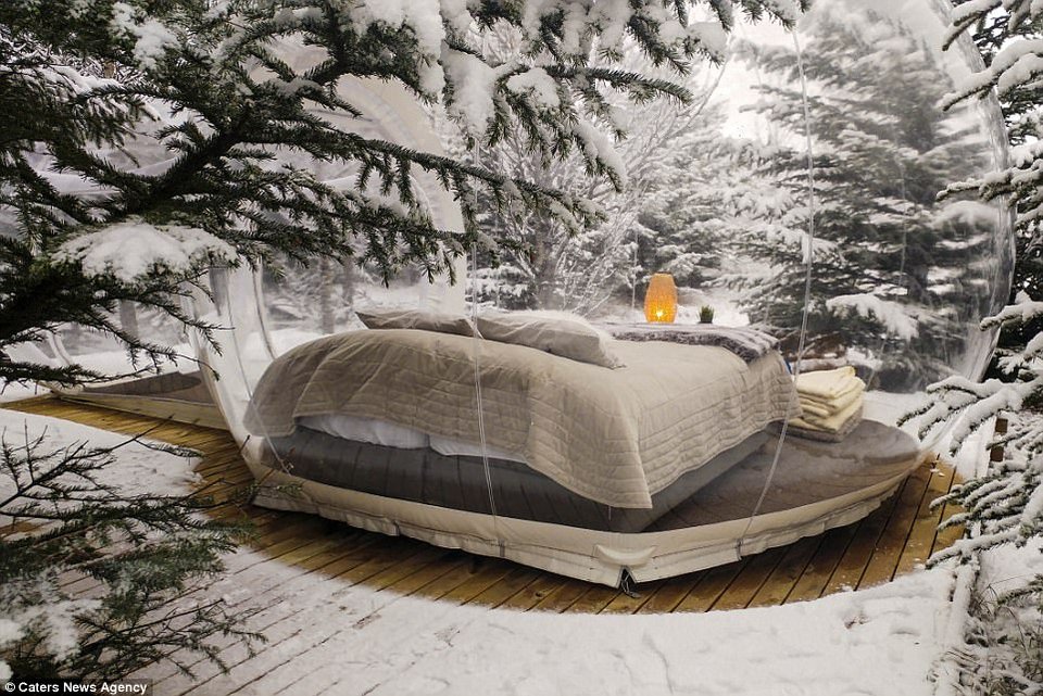 Μαγεία: Γυάλινα ιγκλού σαν διάφανες μπάλες στην Ισλανδία -Ξενοδοχείο-εμπειρία [εικόνες] | iefimerida.gr 0