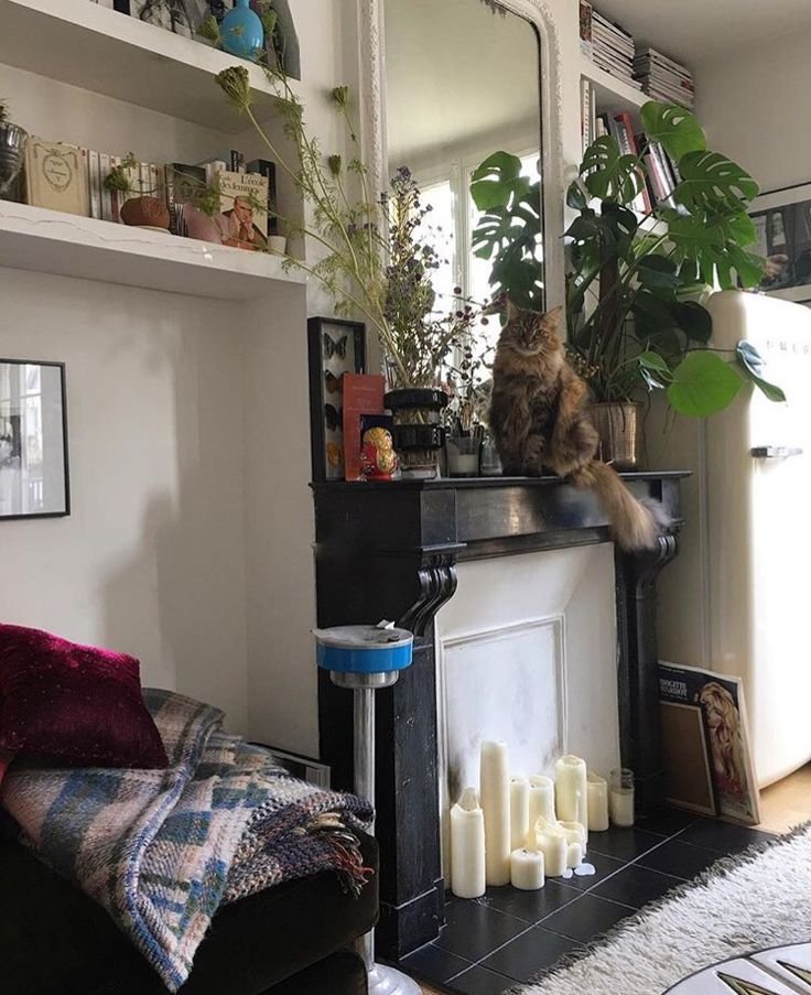 Ενα νέο είδος Παριζιάνας γεννήθηκε -Ομορφη και κομψή, χωρίς προσπάθεια [εικόνες] | iefimerida.gr 8