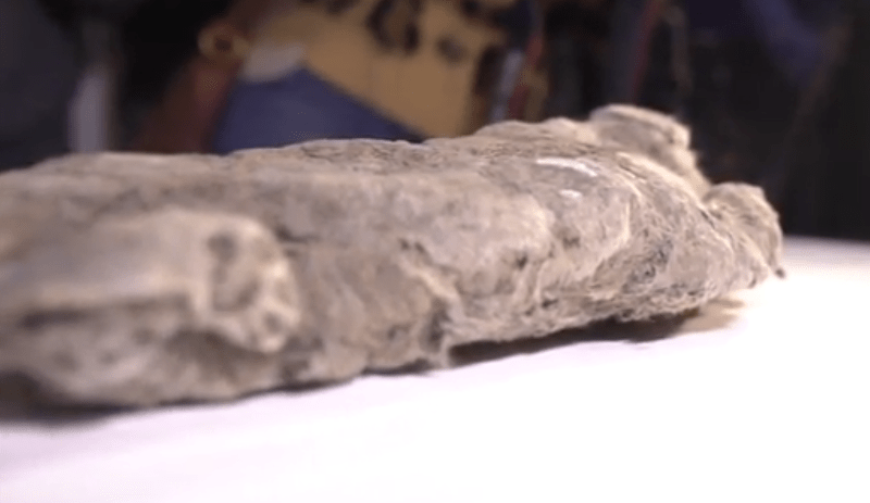 Το Jurassic Park γίνεται πραγματικότητα; Βρήκαν λιοντάρι των σπηλαίων και θέλουν να το κλωνοποιήσουν [εικόνες]  | iefimerida.gr 1