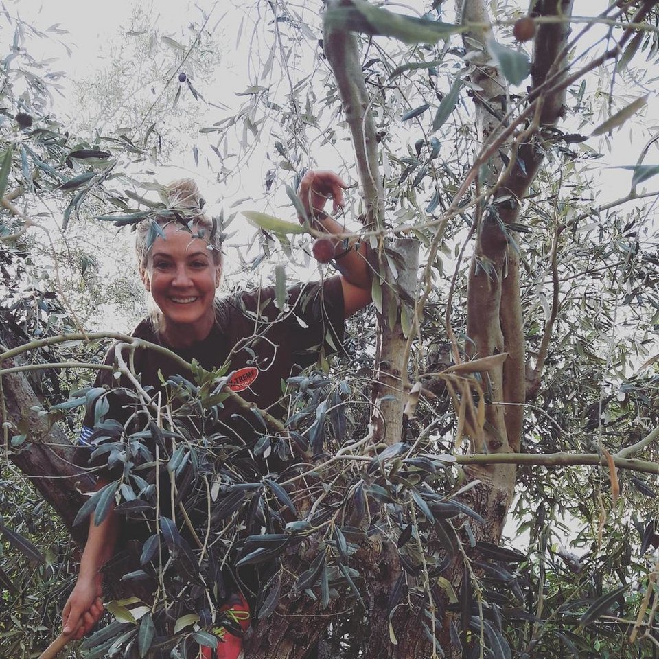 Γνωστή παρουσιάστρια ειδήσεων, στο δένδρο, μαζεύει ελιές [εικόνα] | iefimerida.gr 0