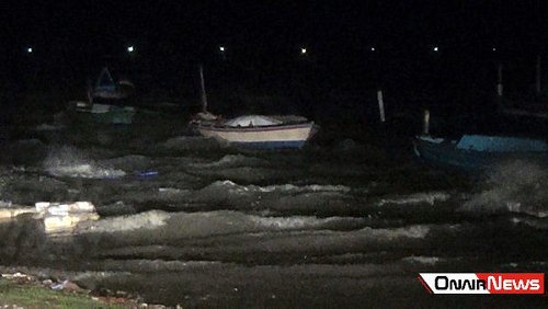 Προβλήματα στο Μεσολόγγι από την κακοκαιρία -Ξεριζώθηκαν δέντρα στο κέντρο της πόλης [εικόνες] | iefimerida.gr 2