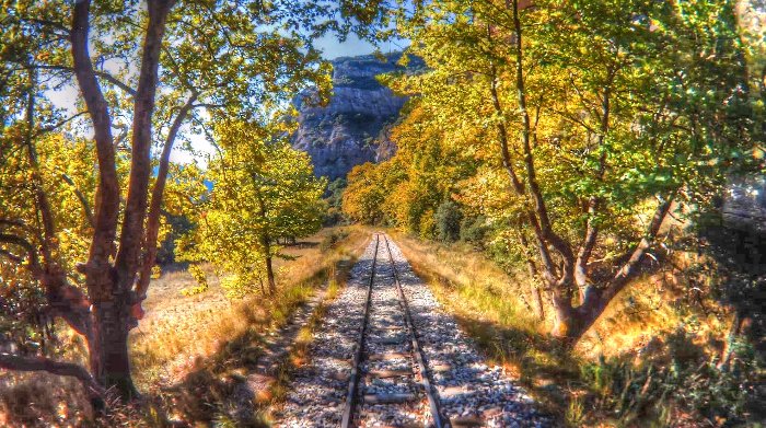 Η ξεχωριστή φθινοπωρινή βόλτα με τον Οδοντωτό -Σπάνια ομορφιά [εικόνες & βίντεο] | iefimerida.gr 9