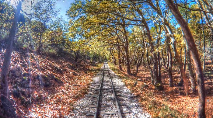 Η ξεχωριστή φθινοπωρινή βόλτα με τον Οδοντωτό -Σπάνια ομορφιά [εικόνες & βίντεο] | iefimerida.gr 10