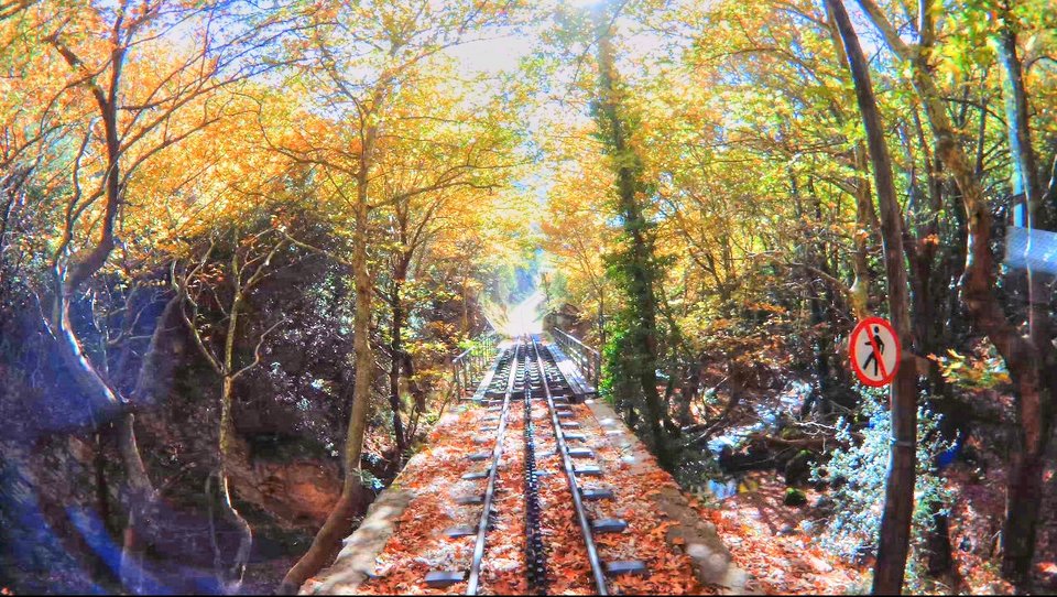 Η ξεχωριστή φθινοπωρινή βόλτα με τον Οδοντωτό -Σπάνια ομορφιά [εικόνες & βίντεο] | iefimerida.gr 7