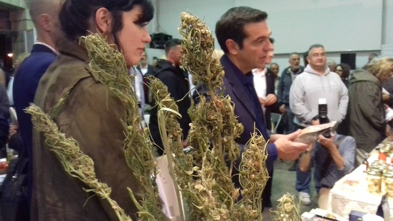 Ο Αλέξης Τσίπρας στα ελληνικά βιολογικά προϊόντα κάνναβης -Τι δώρο του έδωσαν [εικόνες] | iefimerida.gr 1