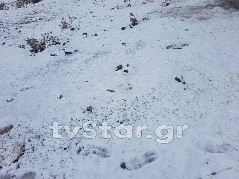 Τα πρώτα χιόνια στο Βελούχι [εικόνες] | iefimerida.gr 4