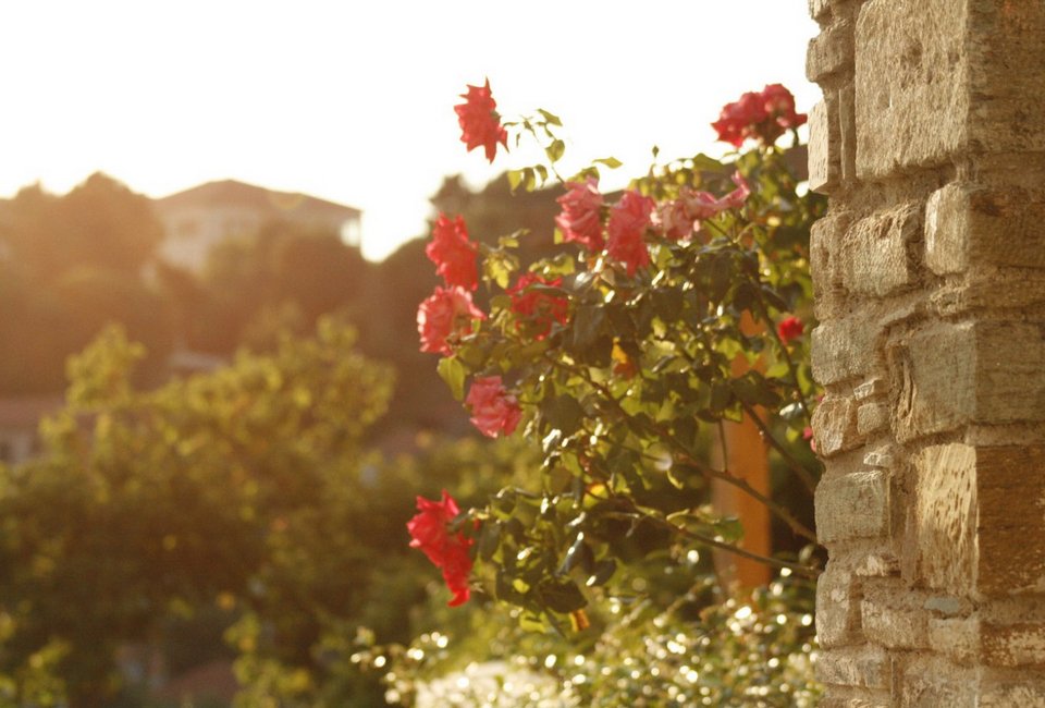 Το παλαιότερο καφενείο στην Ελλάδα λειτουργεί αδιάκοπα 242 χρόνια [εικόνες] | iefimerida.gr 4