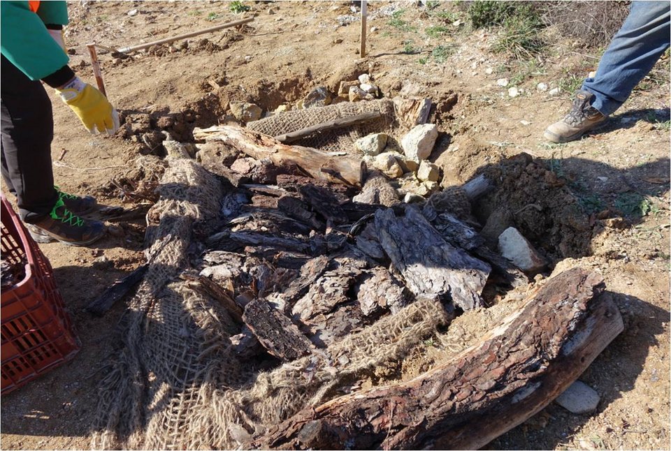 Στον Εβρο έφτιαξαν ειδικές λακκούβες για να ξεχειμωνιάσουν τα φίδια [εικόνες] | iefimerida.gr 0