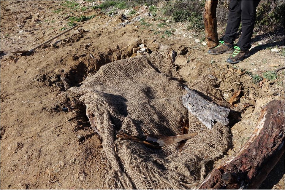 Στον Εβρο έφτιαξαν ειδικές λακκούβες για να ξεχειμωνιάσουν τα φίδια [εικόνες] | iefimerida.gr 1