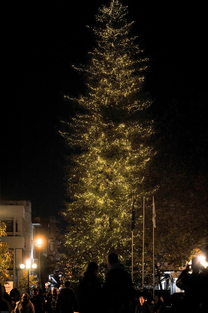 Οντως εντυπωσιακό! Το ψηλότερο φυσικό δέντρο της Ελλάδας στολίστηκε στα Τρίκαλα! [εικόνες] | iefimerida.gr 18