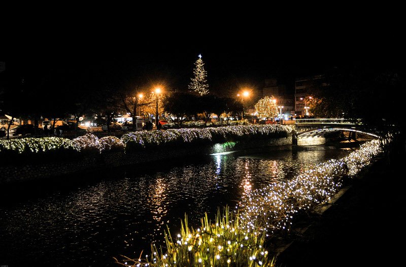 Οντως εντυπωσιακό! Το ψηλότερο φυσικό δέντρο της Ελλάδας στολίστηκε στα Τρίκαλα! [εικόνες] | iefimerida.gr 13