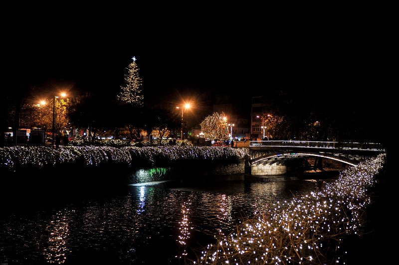 Οντως εντυπωσιακό! Το ψηλότερο φυσικό δέντρο της Ελλάδας στολίστηκε στα Τρίκαλα! [εικόνες] | iefimerida.gr 12