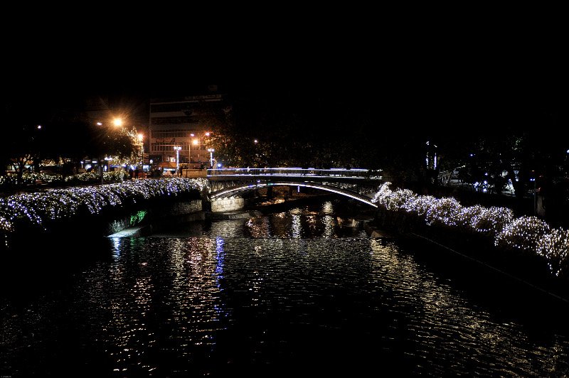 Οντως εντυπωσιακό! Το ψηλότερο φυσικό δέντρο της Ελλάδας στολίστηκε στα Τρίκαλα! [εικόνες] | iefimerida.gr 11